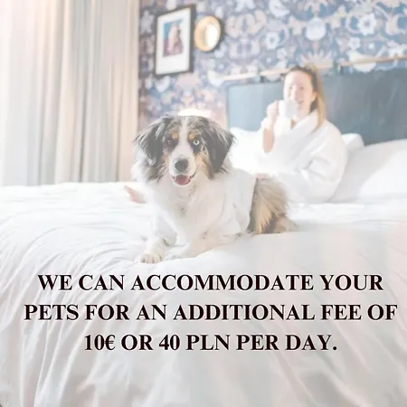 Lumina Comfy Appartement Łódź