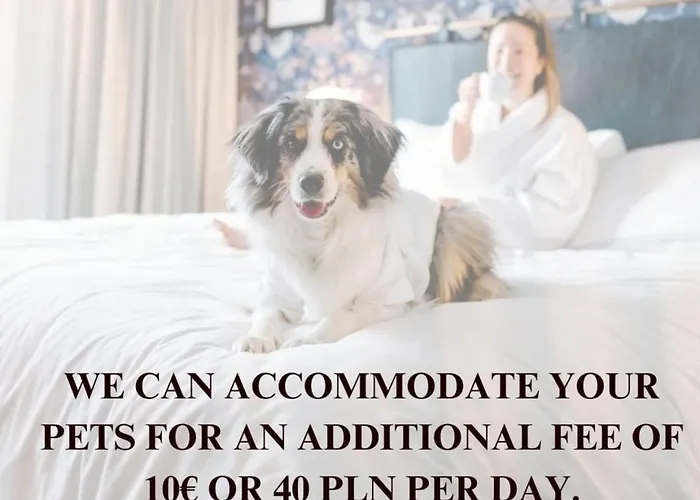 Lumina Comfy Lejlighed Łódź